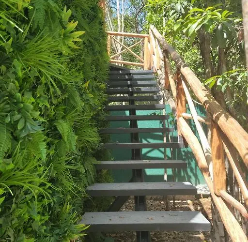 Jungle Treehouse