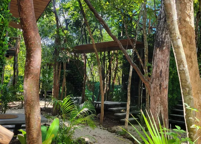 Jungle Treehouse Apartamento *